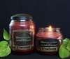 Apple Cinnamon Reflective Light Scentiments Candle 