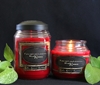 Sun-Ripened Raspberry Reflective Light Scentiments Candle 