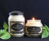 Vanilla Bean Reflective Light Scentiments Candle 