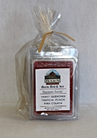 Summer Lovin' Barn Brick Set  