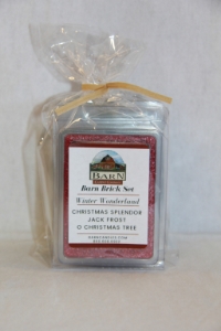 Winter Wonderland Brick Set 